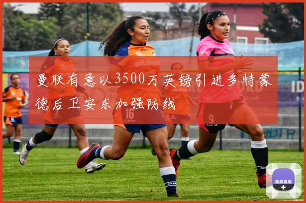 曼联有意以3500万英镑引进多特蒙德后卫安东加强防线