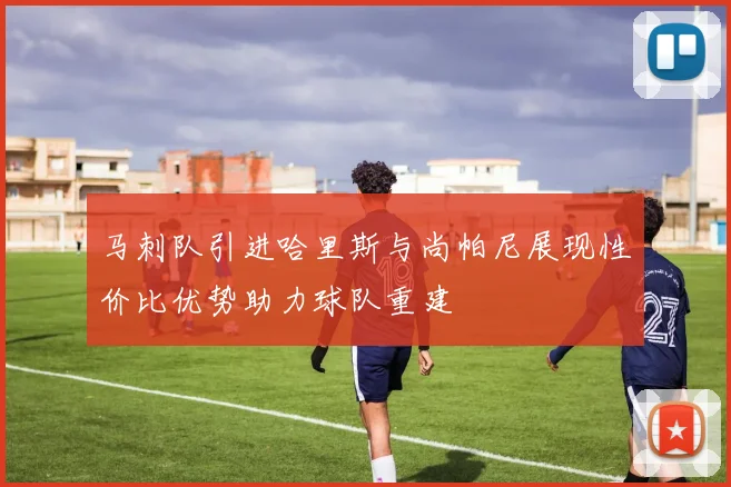 马刺队引进哈里斯与尚帕尼展现性价比优势助力球队重建