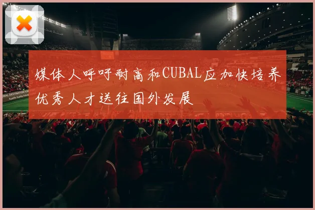 媒体人呼吁耐高和CUBAL应加快培养优秀人才送往国外发展