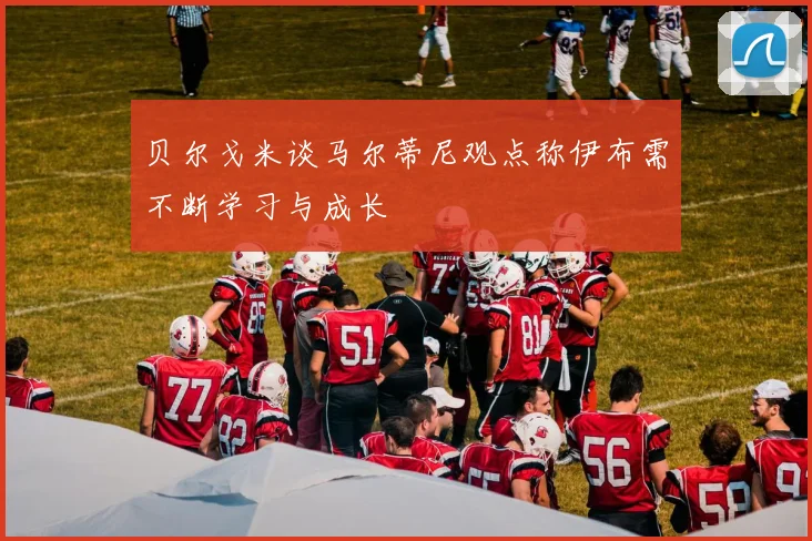 贝尔戈米谈马尔蒂尼观点称伊布需不断学习与成长